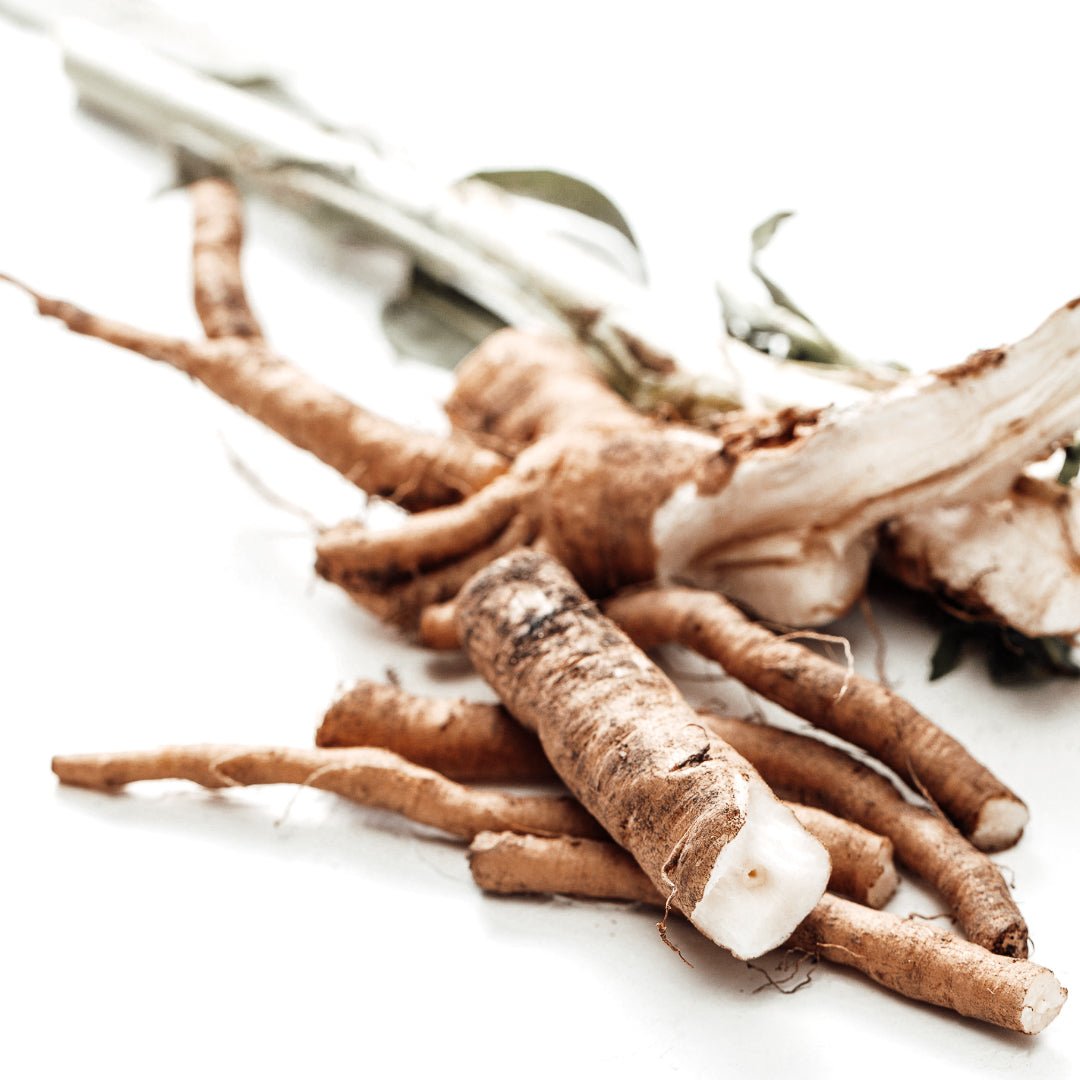 Need to Know: Prebiotic chicory root - 35 Thousand